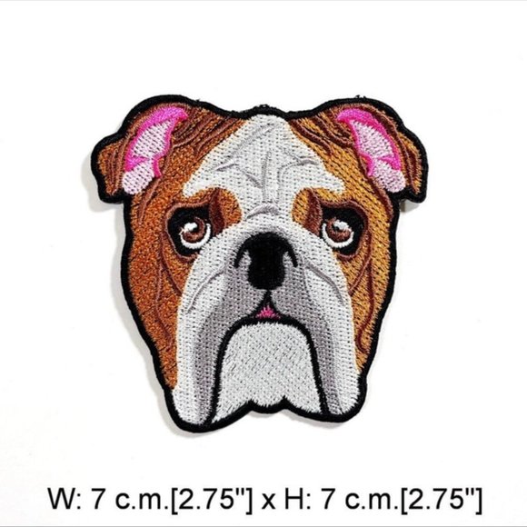 POKÉMON BULBASAUR CHARACTER Badge Jacket Shirt Iron On Sew On - Foto 14